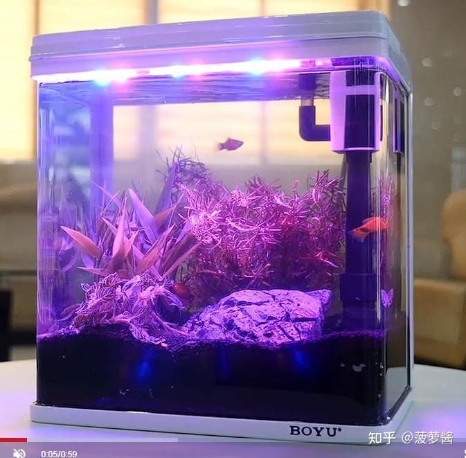 國外的水族箱品牌，國外水族箱品牌在全球市場占據(jù)重要地位