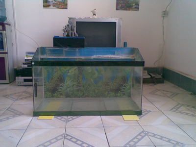 玻璃制作魚(yú)缸過(guò)濾器的方法：玻璃制作魚(yú)缸過(guò)濾器的兩種方法