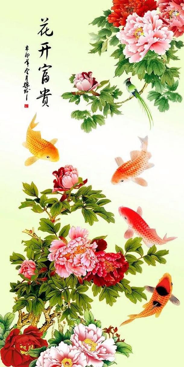 牡丹魚圖片大全大圖，牡丹魚是一種極具觀賞價值的魚類