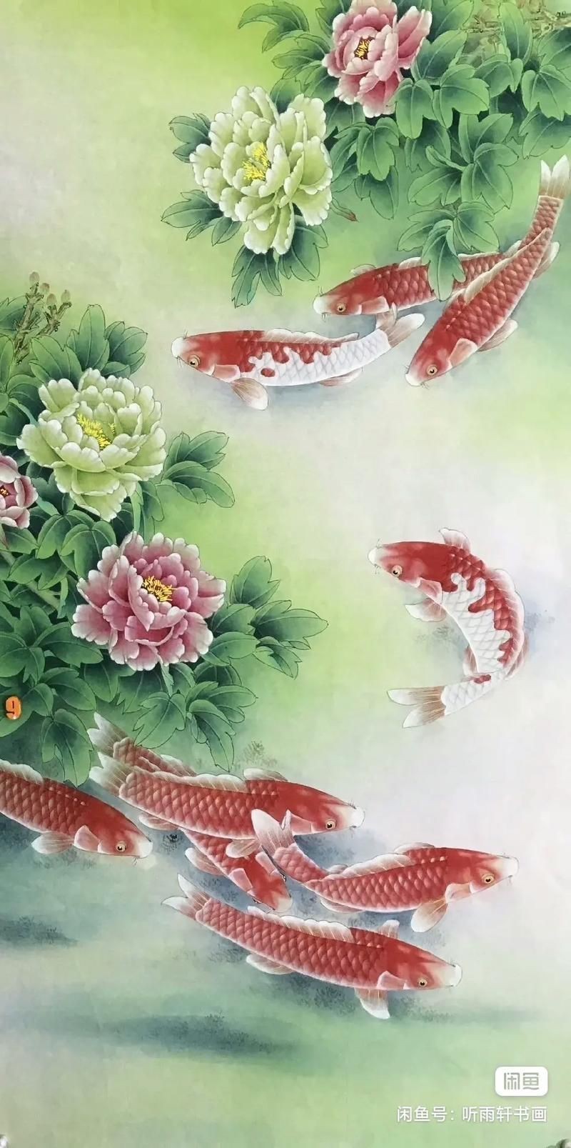 牡丹魚圖片大全大圖，牡丹魚是一種極具觀賞價值的魚類