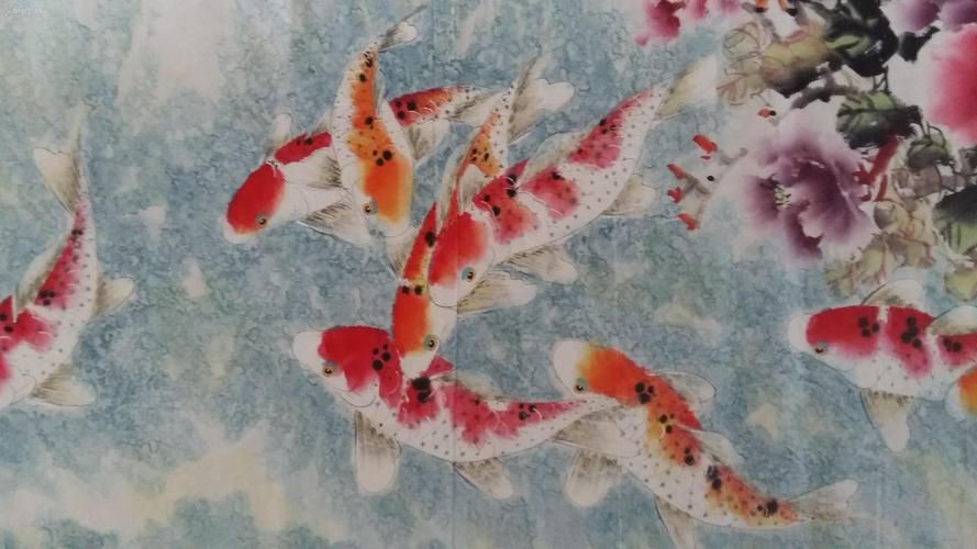 牡丹魚圖片大全大圖，牡丹魚是一種極具觀賞價值的魚類