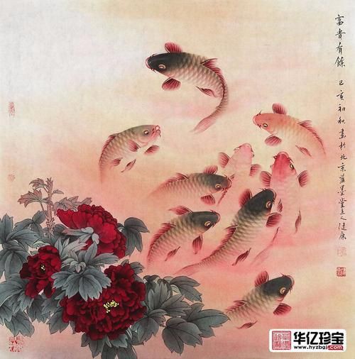 牡丹魚圖片大全大圖，牡丹魚是一種極具觀賞價值的魚類