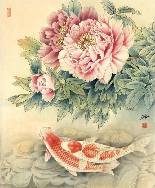 牡丹魚圖片大全大圖，牡丹魚是一種極具觀賞價值的魚類