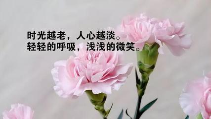 銀龍魚不吃怎么辦(銀龍魚不吃食怎么辦)