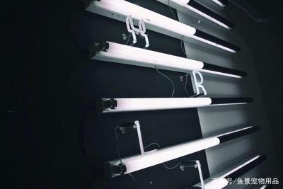 不用電的魚(yú)缸過(guò)濾器怎么做好：不用電的魚(yú)缸過(guò)濾器制作方法