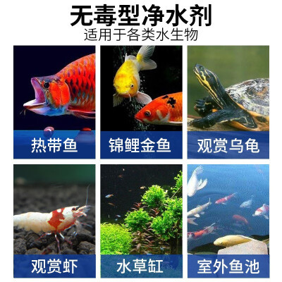 圓柱魚缸造景圖片大全欣賞視頻教程（圓柱魚缸造景圖片大全欣賞視頻教程）