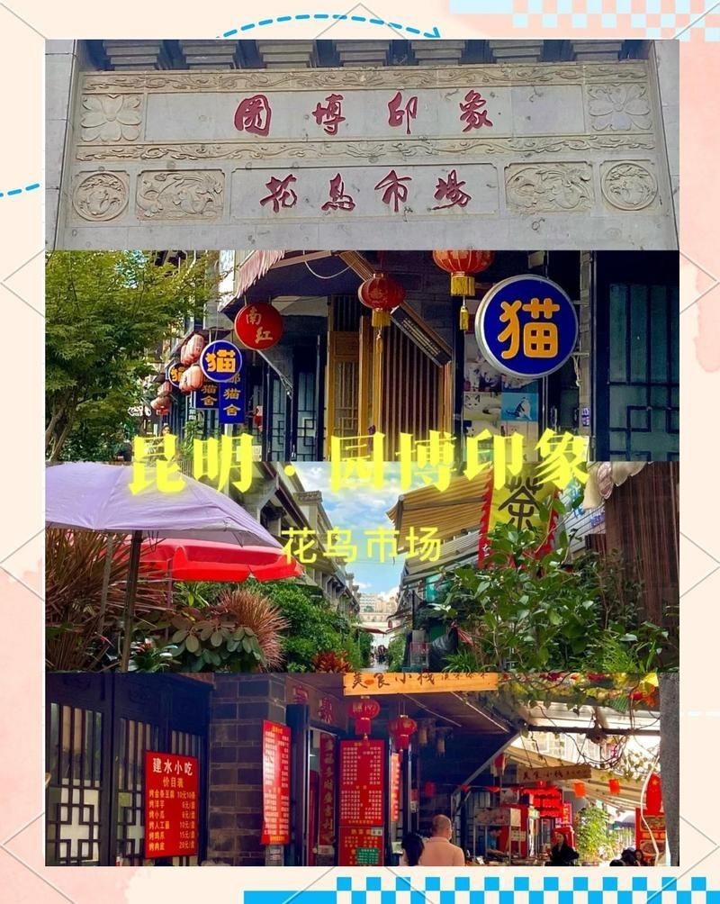 山南魚缸批發市場，東莞山南魚缸批發市場 山南魚缸批發市場，東莞山南魚缸批發市場 全國水族館企業名錄 第2張