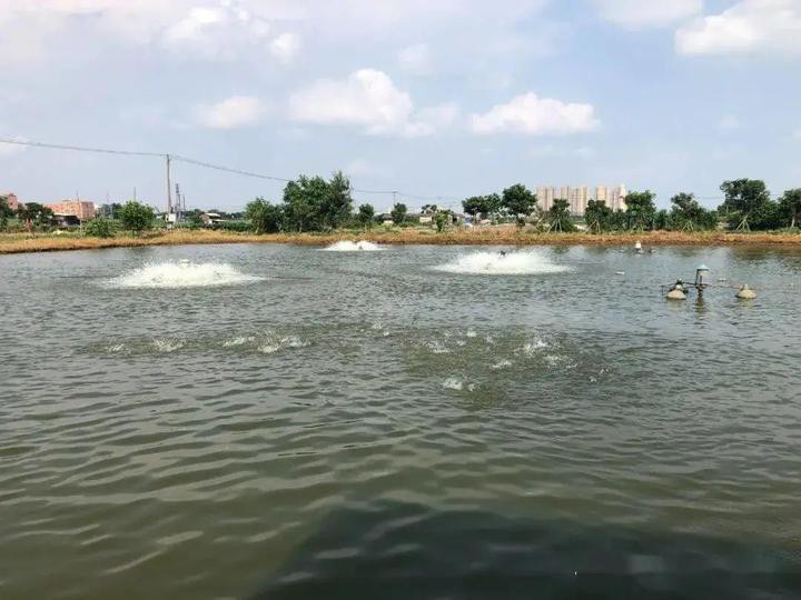 全國水產(chǎn)藥廠前50名，全國水產(chǎn)藥廠前50名是什么？