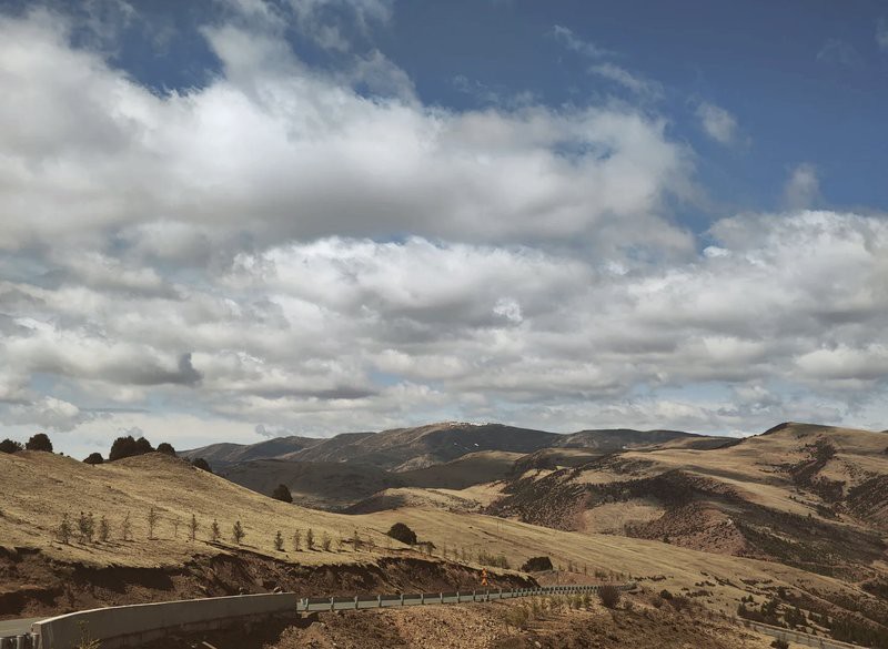 左貢龍魚店，左貢龍魚店的價格范圍是多少