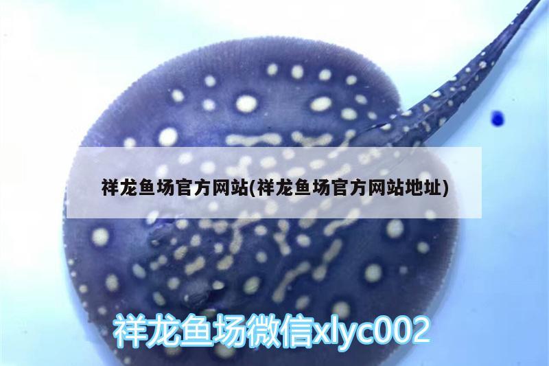 祥龍魚場官方網站(祥龍魚場官方網站地址)