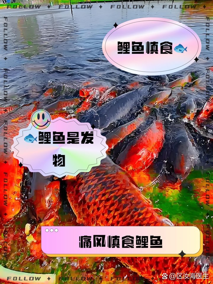 三角鯉為何要盡量少吃，三角鯉的飲食禁忌