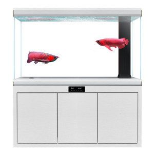 超白魚(yú)缸去哪買便宜好用的：超白魚(yú)缸品牌排行榜，超白魚(yú)缸品牌排行榜超白魚(yú)缸排名