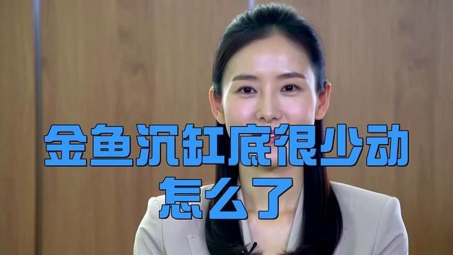 如何判斷金魚趴缸底的原因?,金魚在魚缸底部不動是怎么回事 龍魚百科 第3張 如何判斷金魚趴缸底的原因?,金魚在魚缸底部不動是怎么回事 如何判斷金魚趴缸底的原因?,金魚在魚缸底部不動是怎么回事 龍魚百科 第3張