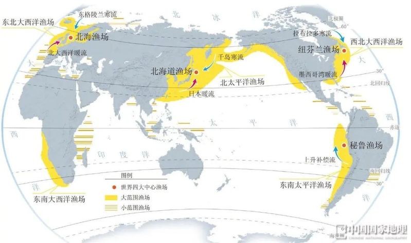 世界四大漁場及其成因，世界四大漁場形成的原因 世界四大漁場及其成因，世界四大漁場形成的原因 龍魚論壇 第6張