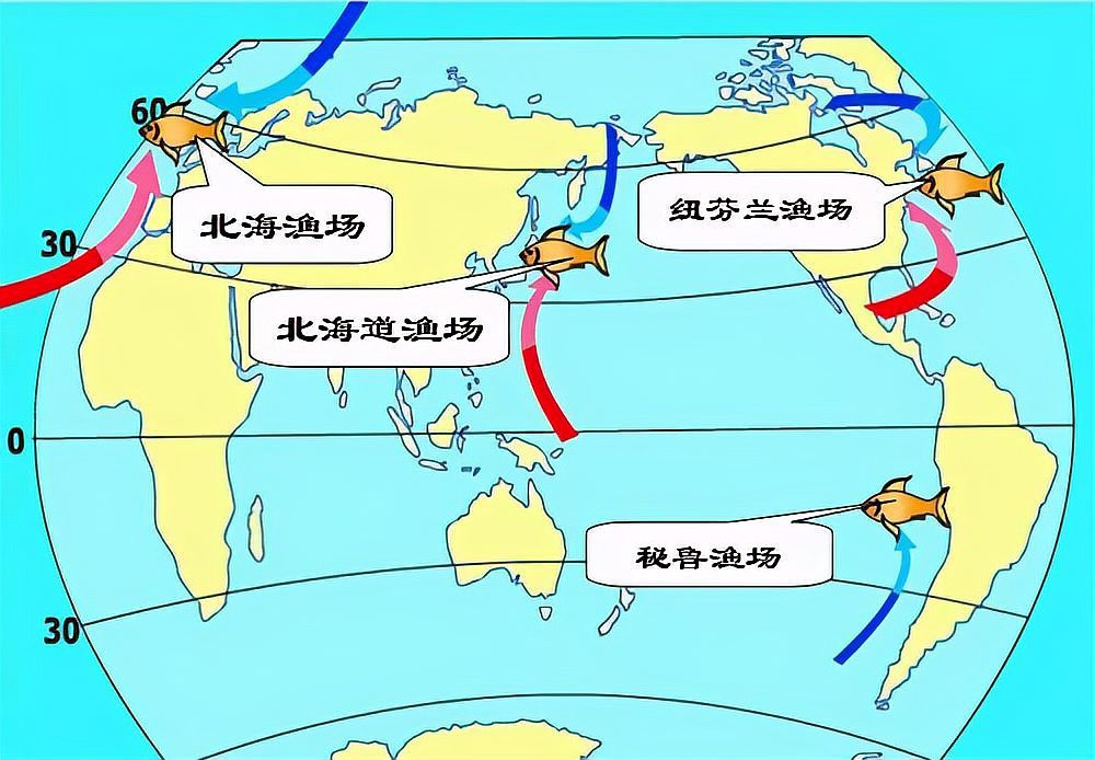 世界四大漁場及其成因，世界四大漁場形成的原因 世界四大漁場及其成因，世界四大漁場形成的原因 龍魚論壇 第9張