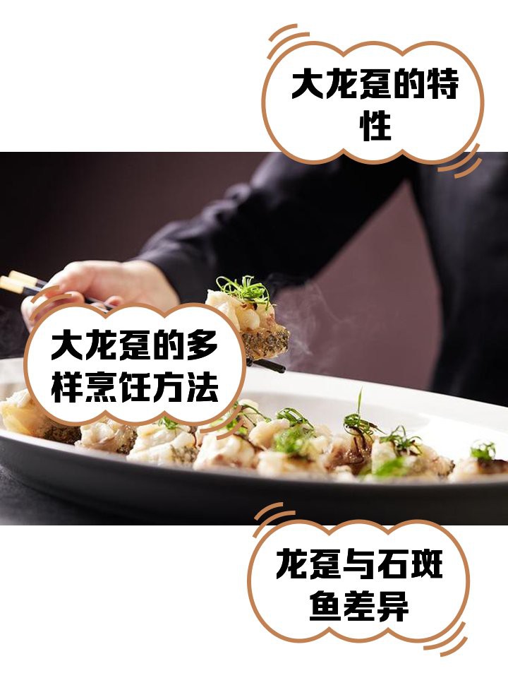 為啥石斑大了之后叫龍躉，\