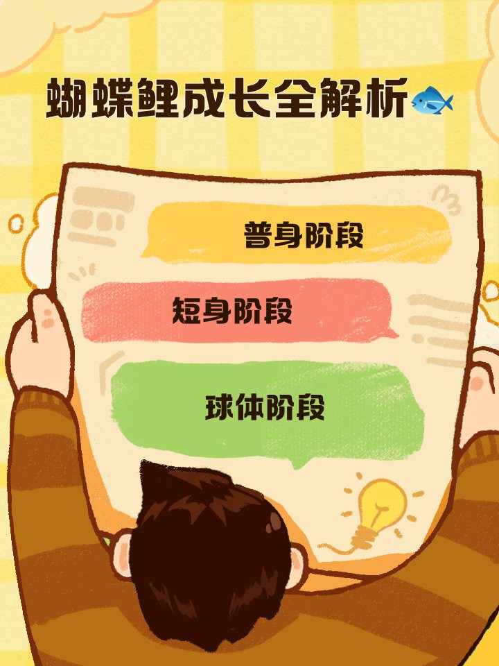 短身蝴蝶鯉多大開始長尾巴，短身蝴蝶鯉多大開始長尾巴發育特征及飼養要點