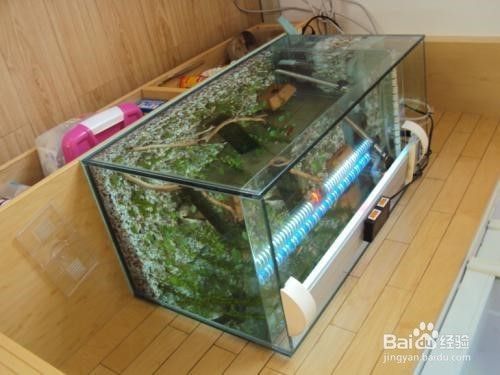 博特3000水泵最小有多少流量(博特5000水泵調到多少合適)