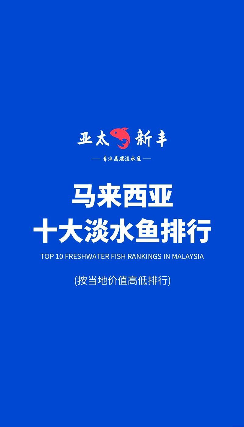 馬來西亞十大名魚的排名規則，濤濤隨記，馬來西亞十大系海魚大揭秘