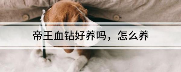 博特拉大學usnews，博特拉大學研究生申請條件