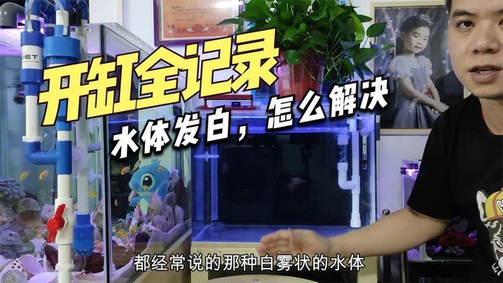 西安市臨潼區多彩水族店