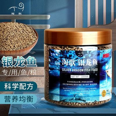 銀龍魚十大品牌