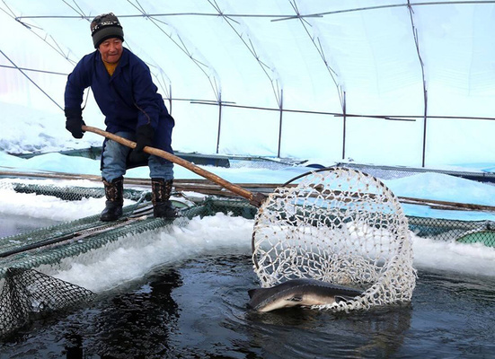 寵物用品魚缸水族箱怎么用：魚缸水族箱的使用