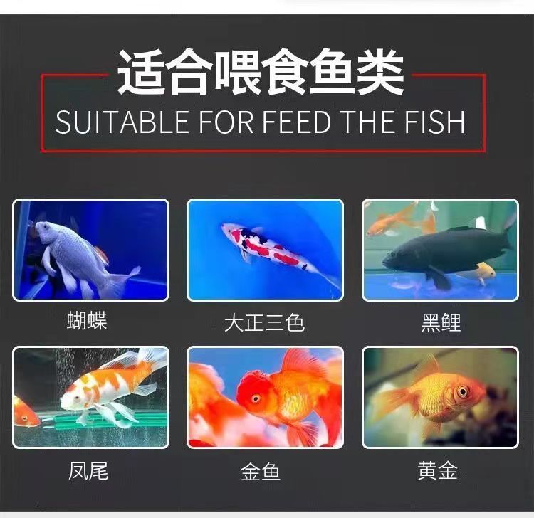 觀賞魚身上長白毛什么病怎么治加食用鹽可以嗎（魚長白毛了用鹽怎么治療）