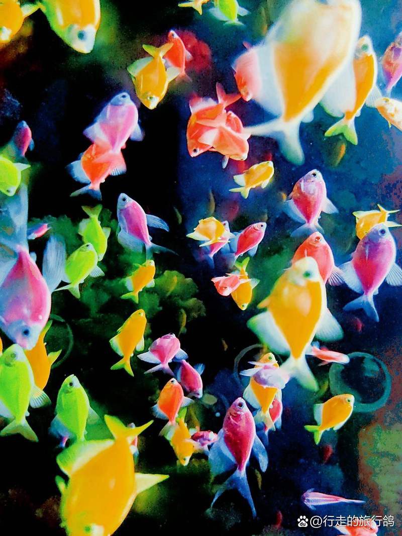 太原水族店，亮點水族館，迎澤公園海底世界