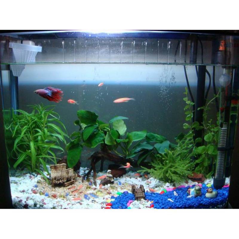 太原水族店，亮點水族館，迎澤公園海底世界