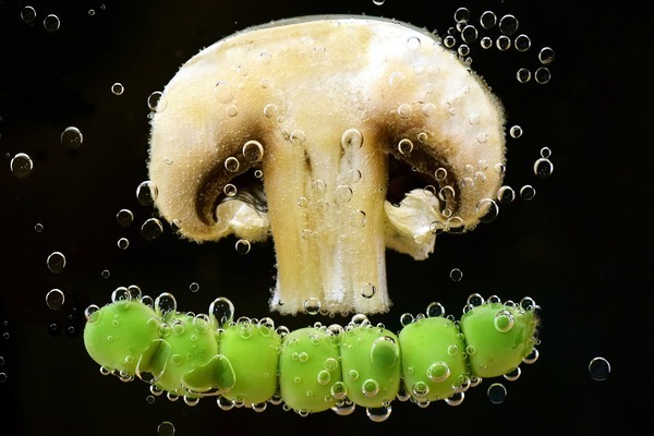 天津市西青區(qū)郭金達水族館（天津市西青區(qū)郭金達水族館地址）