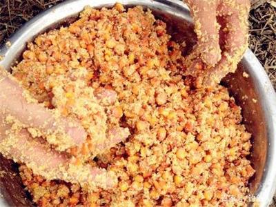 養魚幾月份投喂飼料（魚什么時候喂飼料）