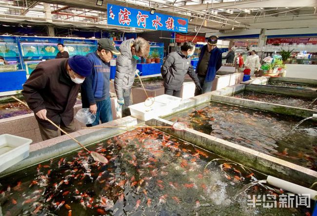 紅龍魚為什么會褪色呢 龍魚百科 第2張 紅龍魚為什么會褪色呢 紅龍魚為什么會褪色呢 龍魚百科 第2張
