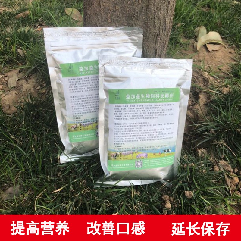 最長的銀龍魚是什么魚(最長的銀龍魚是什么魚啊)
