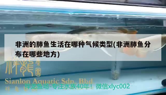 虎魚網(wǎng)新疆衛(wèi)視直播(新疆電視臺虎魚網(wǎng)) 虎魚百科 第2張 虎魚網(wǎng)新疆衛(wèi)視直播(新疆電視臺虎魚網(wǎng)) 虎魚網(wǎng)新疆衛(wèi)視直播(新疆電視臺虎魚網(wǎng)) 虎魚百科 第2張