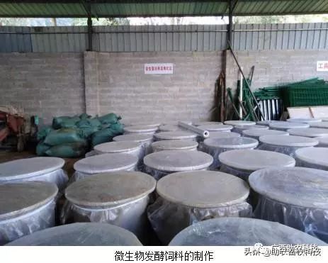 瓷磚制作魚缸設計圖：瓷磚魚缸的制作過程中需要注意以下幾點以下幾點