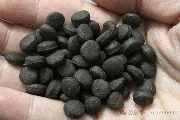 泰獅是感染了嗎