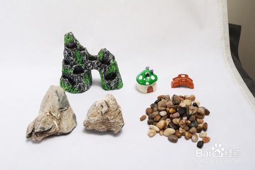 對(duì)魚缸的描述正確的是：家居風(fēng)水中魚缸的選擇