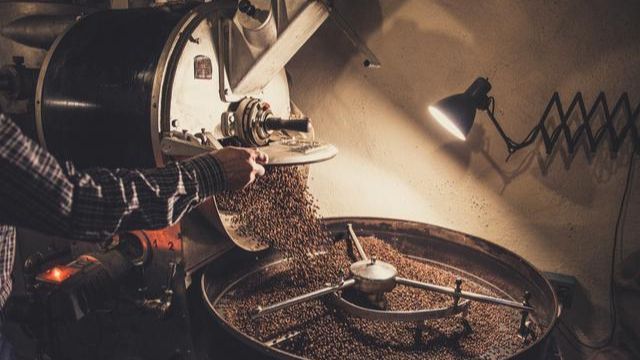 豬鼻龜沒有水能活么視頻講解(豬鼻龜的視頻)