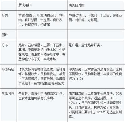 多大魚缸造景好：如何選擇合適的魚缸尺寸