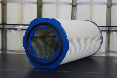 豬鼻龜幾級保護動物圖片大全及名稱(豬鼻龜國家幾級保護動物)