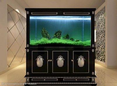 玻璃造型魚缸效果圖：尋找玻璃造型魚缸效果圖專業水族工程公司提供的設計和服務