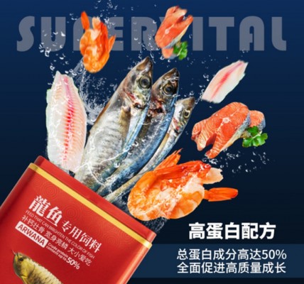 徐州大型魚缸定制廠家地址及電話(徐州做魚缸)