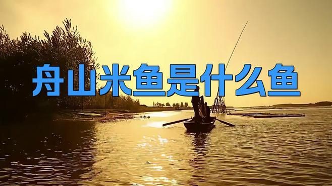 鮸魚(yú)和米魚(yú)的區(qū)別，米魚(yú)是什么魚(yú)