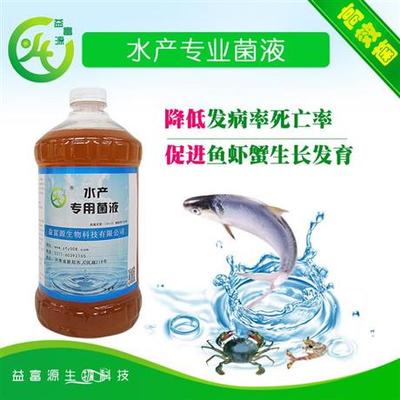 哪里買豬鼻龜(哪里能買豬鼻龜)
