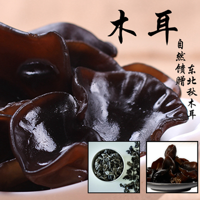 紅龍魚用什么底色好：紅龍魚底色的選擇對于整體的觀賞效果有重要影響