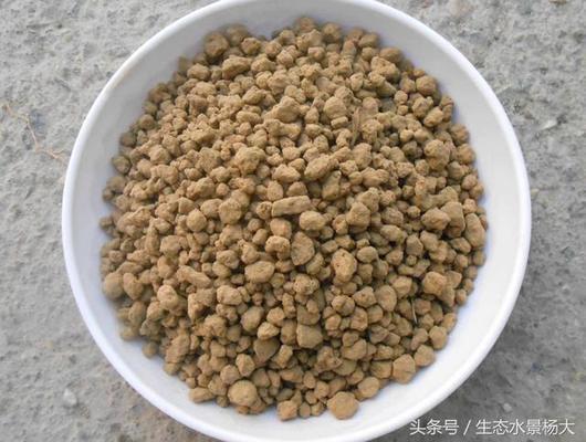 紅龍魚用什么背景最好發色：關于紅龍魚發色的詳細信息