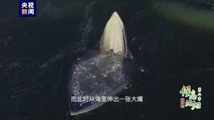 魚缸出水口怎么擺放好看(魚缸出水口最佳位置圖)