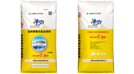 銀龍魚怎么變白色(銀龍魚不白是怎么回事)