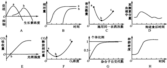 日喀則水族館虹福齊天新人入坑